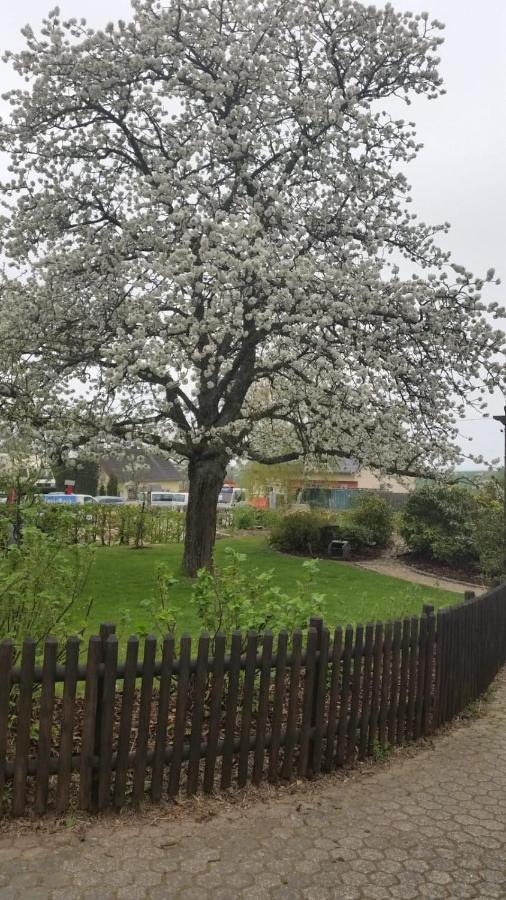 Ferienwohnung Vergissmeinnicht Osburg المظهر الخارجي الصورة